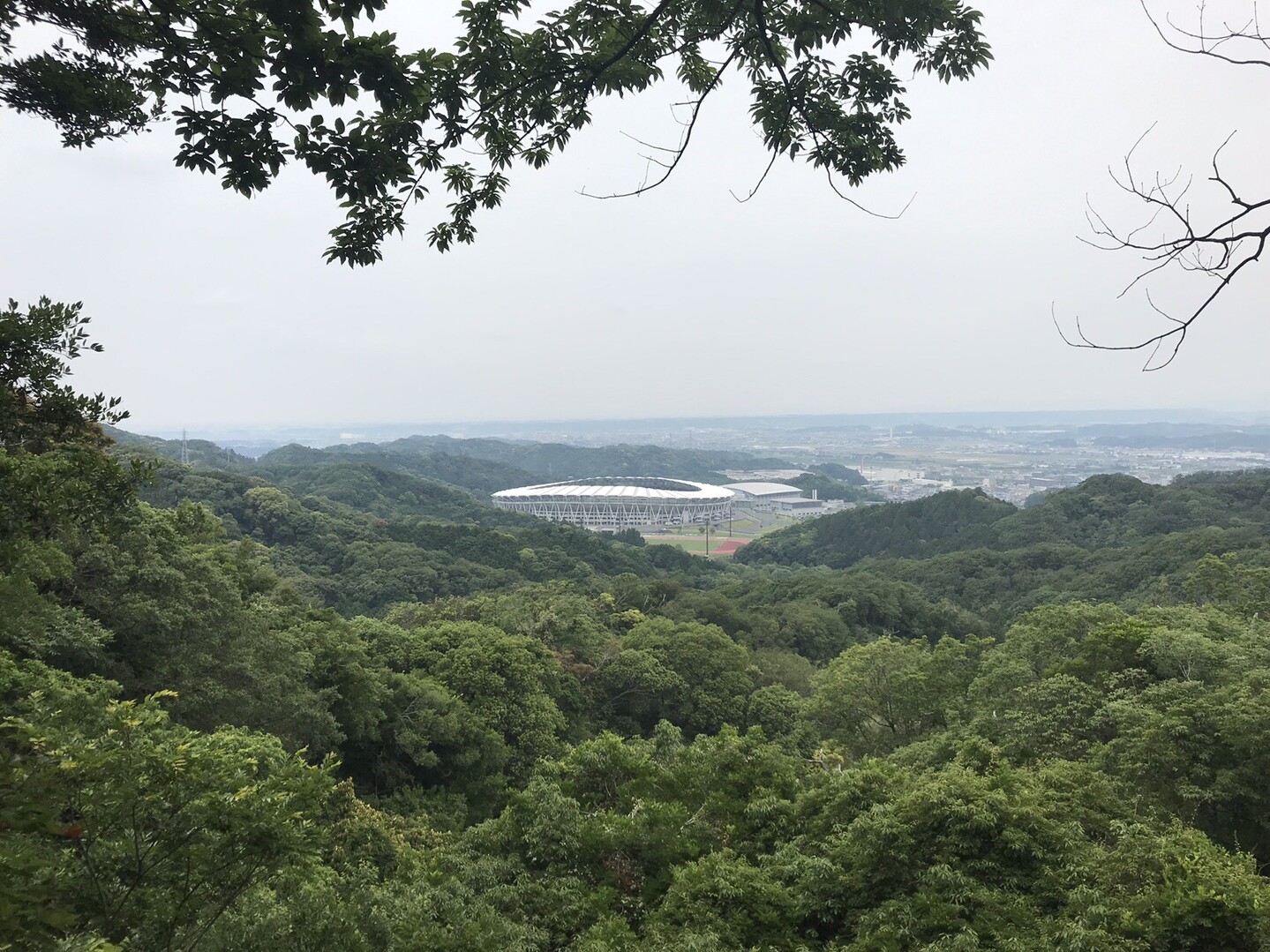 三ツ峰 小笠山ハイキング 19 06 02 たかゆきさんの小笠山の活動日記 Yamap ヤマップ