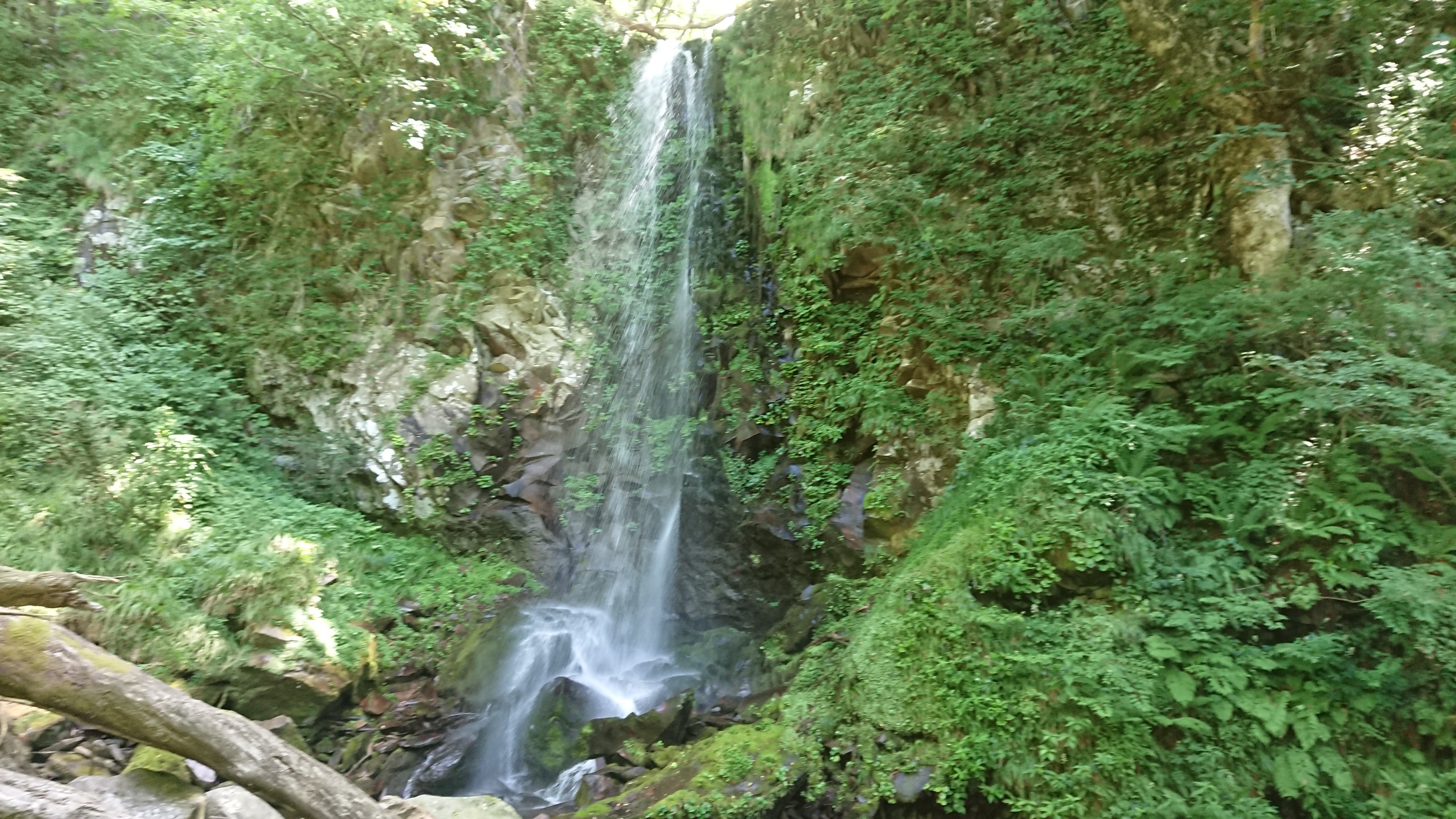 高瀬峡 Kty1109さんの遊佐町の活動データ Yamap ヤマップ