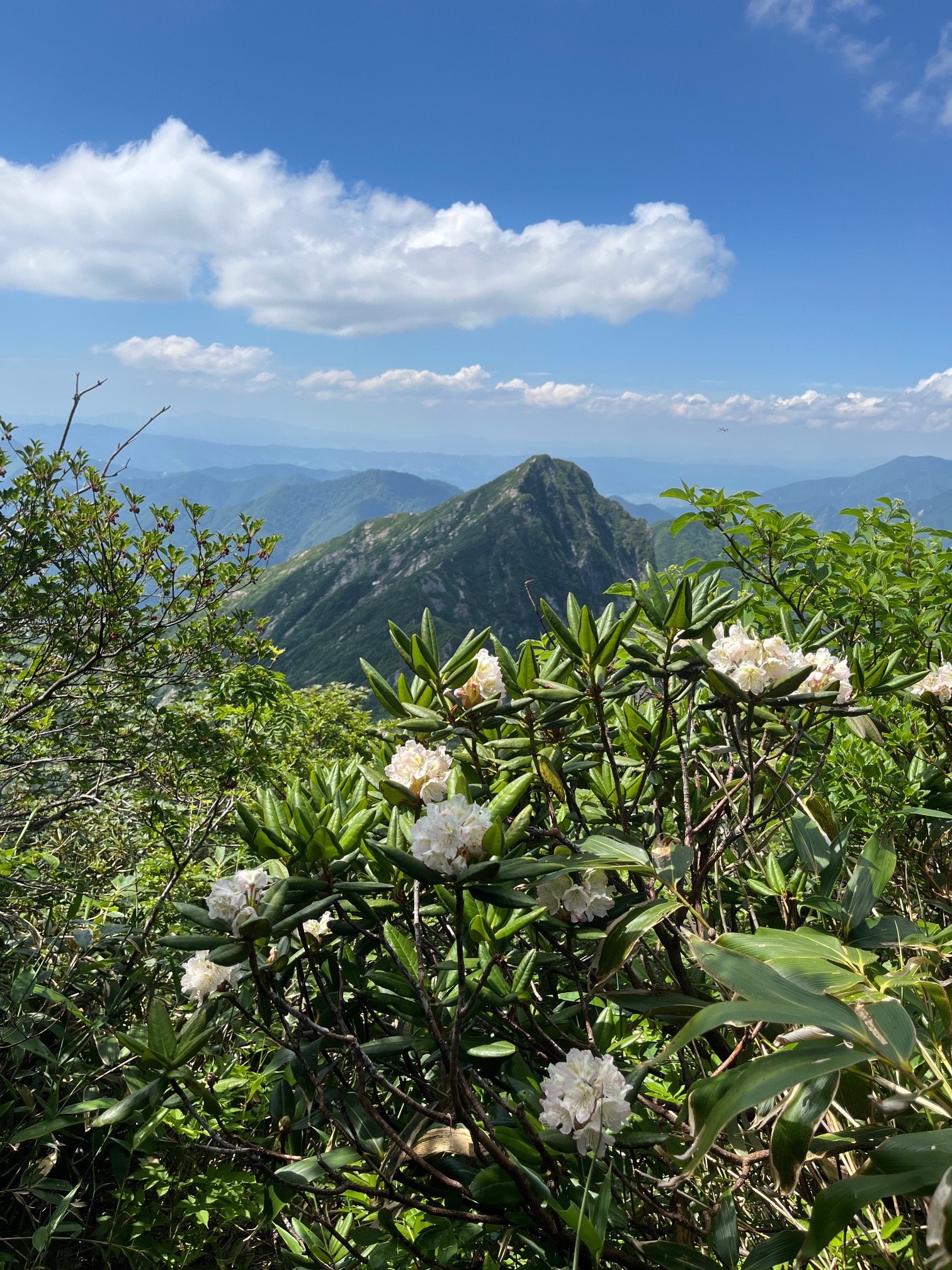 憧れの大源太山へ / meichiさんの谷川岳・七ツ小屋山・大源太山の活動日記 YAMAP / ヤマップ