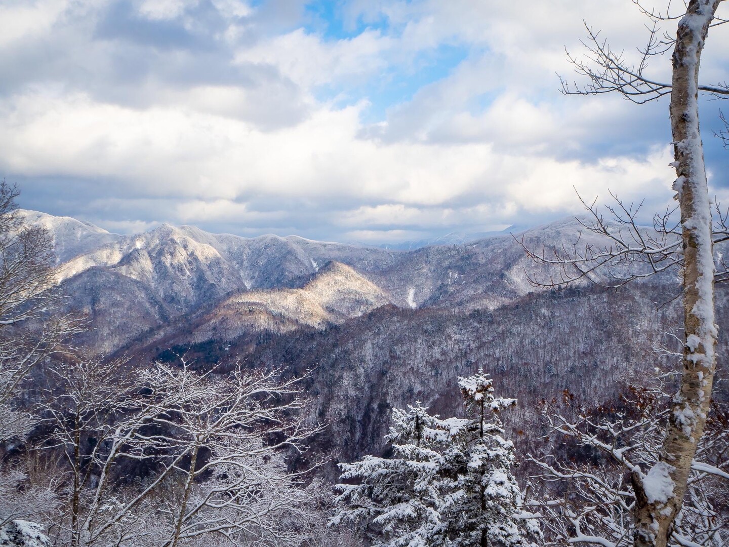3150 ️～📣🎶～ポキャップ山・椴山⛰⛄️ / ありすさんの貫気別山・リビラ山の活動データ YAMAP / ヤマップ