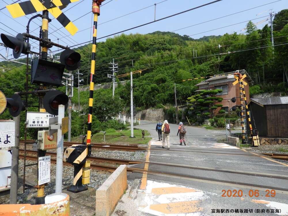 雁ヶ峰341 6m 大平山631 1m 補 牟禮山 06 29 山口県防府市 Yama Hayashiさんの大平山 防府市 矢筈岳の活動日記 Yamap ヤマップ