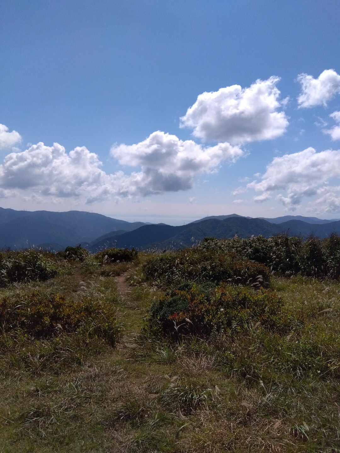 野坂岳 / くずはさんの登山の活動データ YAMAP / ヤマップ