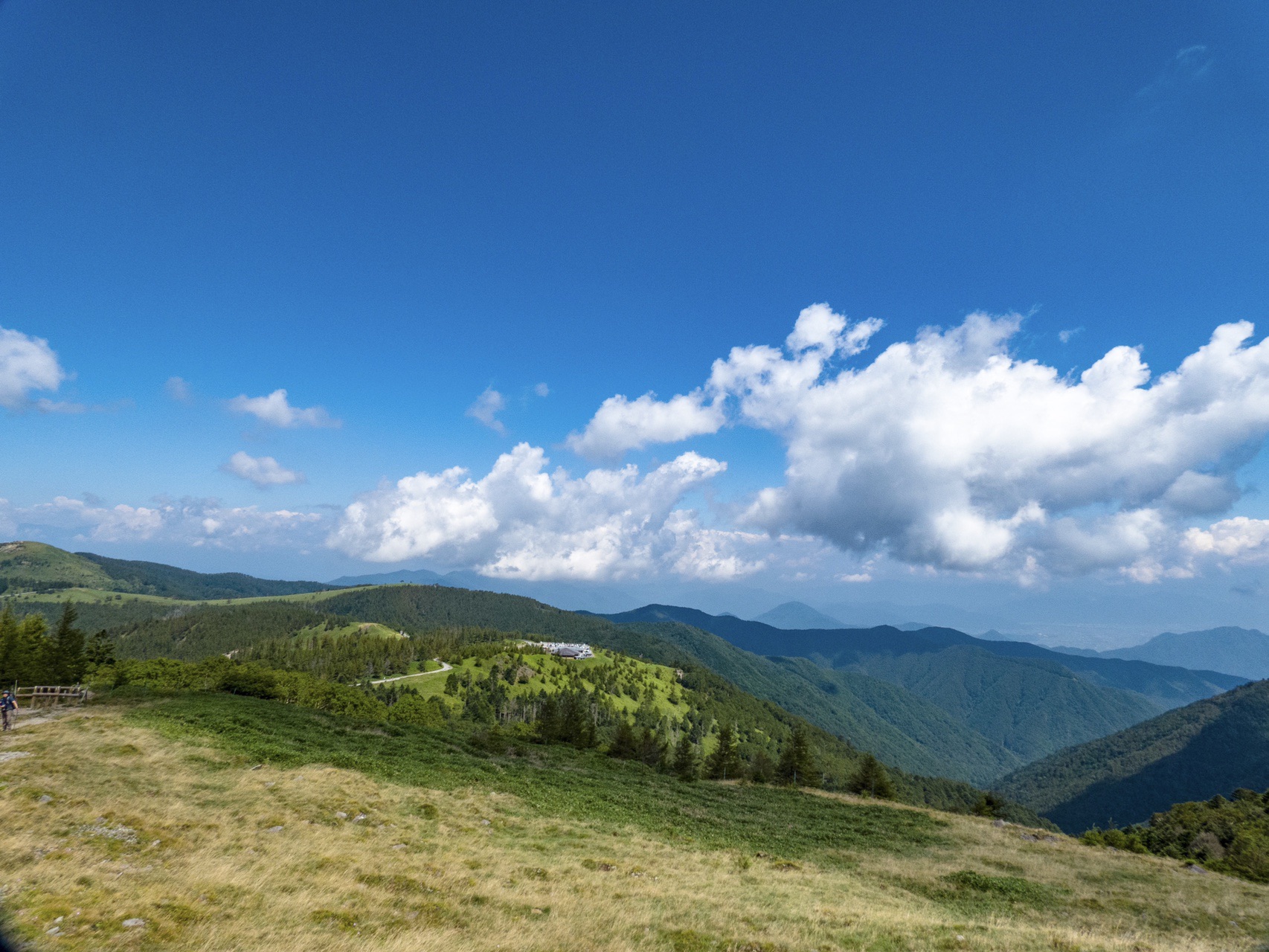 免活に!!高線量‼南砺ペグマタイト(66) 免活に!!高線量‼南砺ペグマタイト(66) 【公式通販】