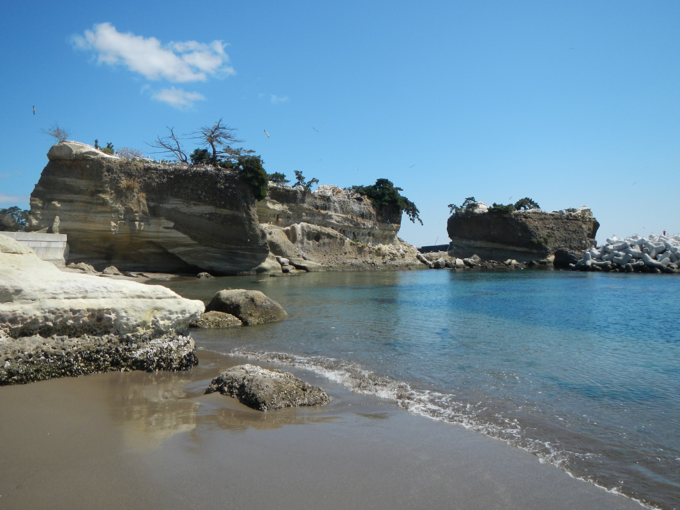 御殿山 花渕灯台 鼻節神社 21 04 10 Yoshiki さんの仙台市の活動日記 Yamap ヤマップ