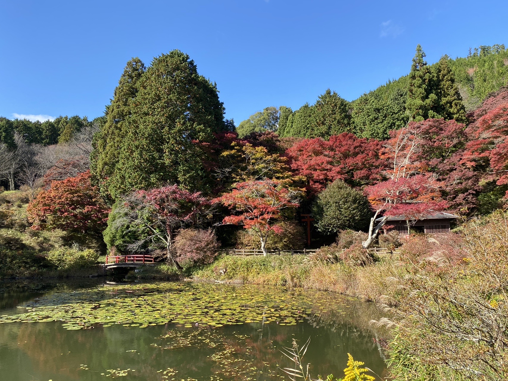 鳥見山公園 Yukoさんの額井岳の活動データ Yamap ヤマップ