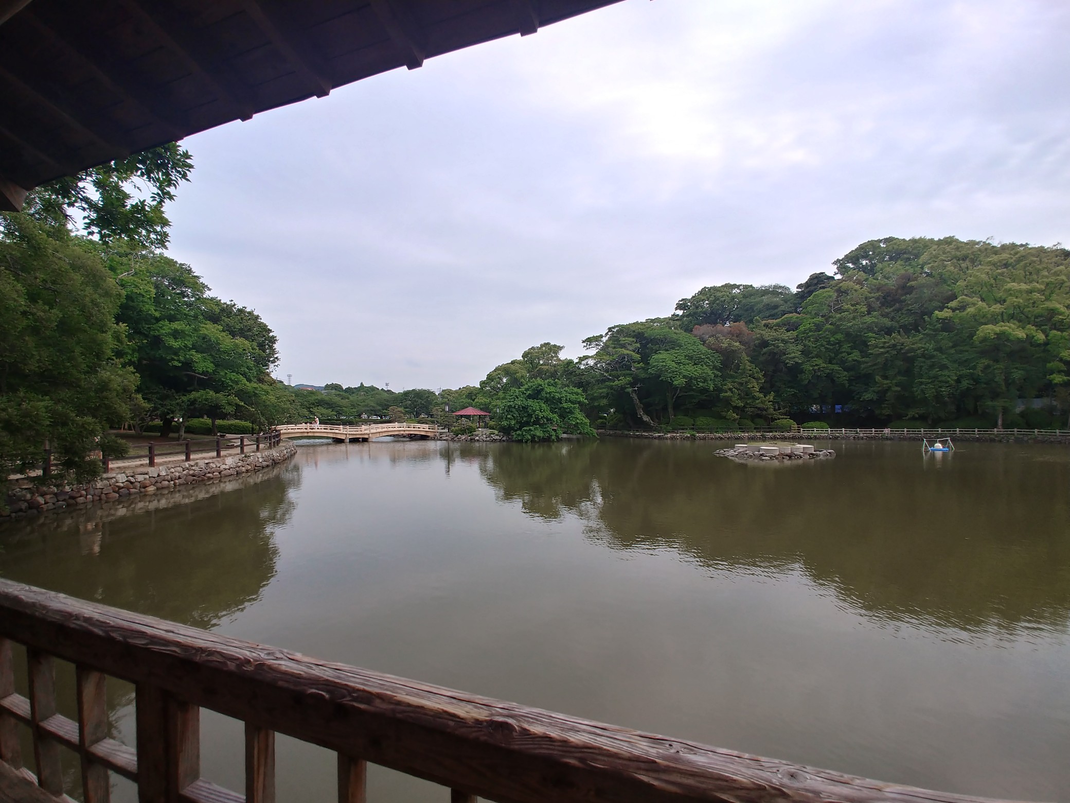 お散歩レポート 大村公園は菖蒲の花園 / ミッチーさんの大村市の活動 