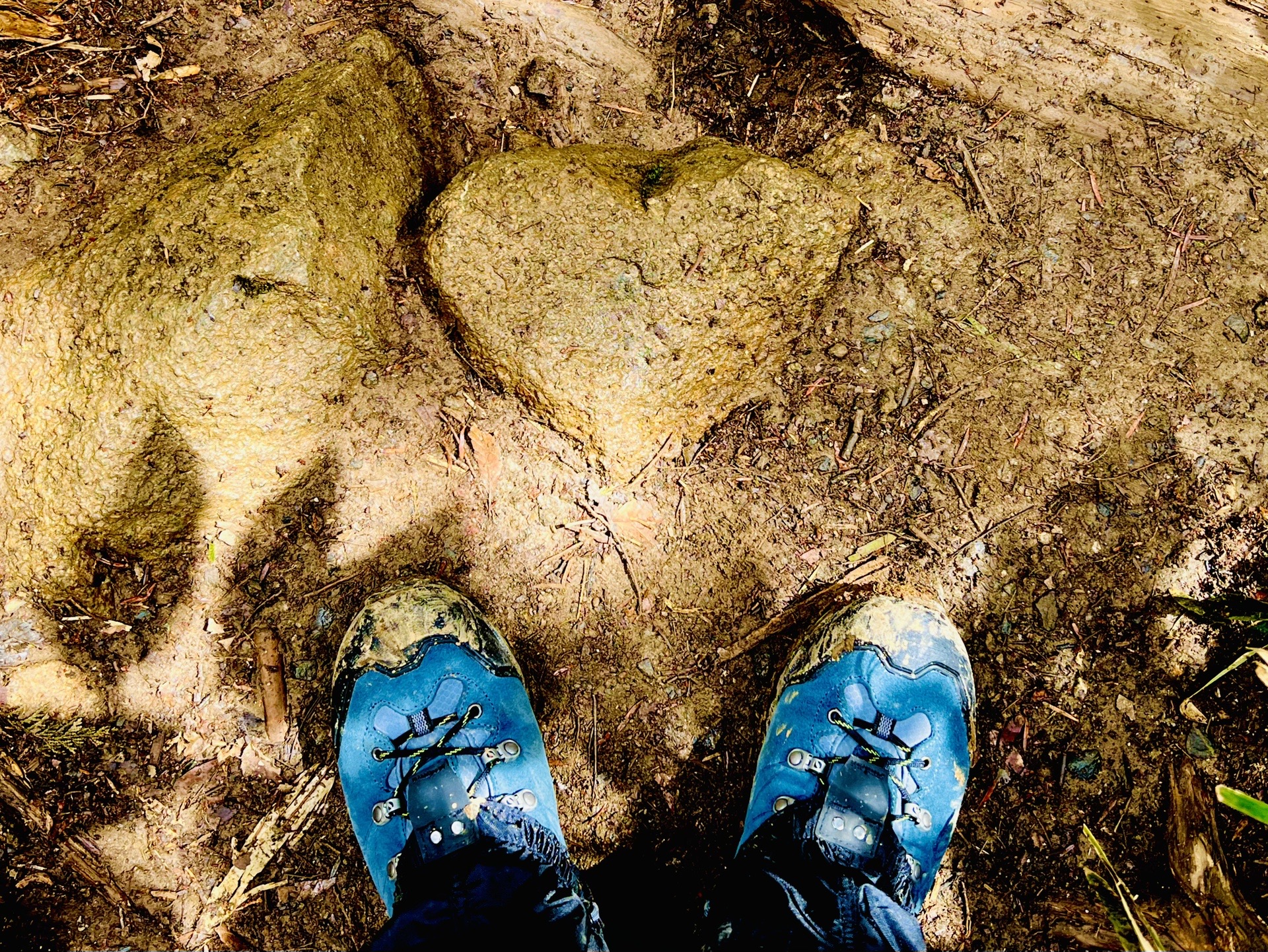 ハート石 みっけ 晴天 閑散 筑波山 筑波山 男体山 女体山 是空さんのヤマノススメ巡礼マップ 筑波山 の活動データ Yamap ヤマップ