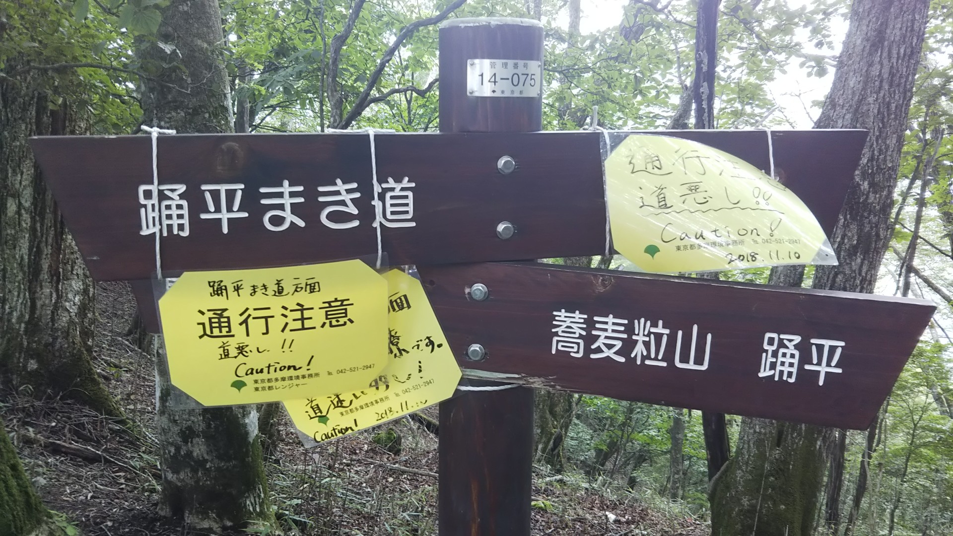 埼玉百名山 37座蕎麦粒山 38座天目山 Otoo39さんの雲取山 鷹ノ巣山 七ツ石山の活動日記 Yamap ヤマップ