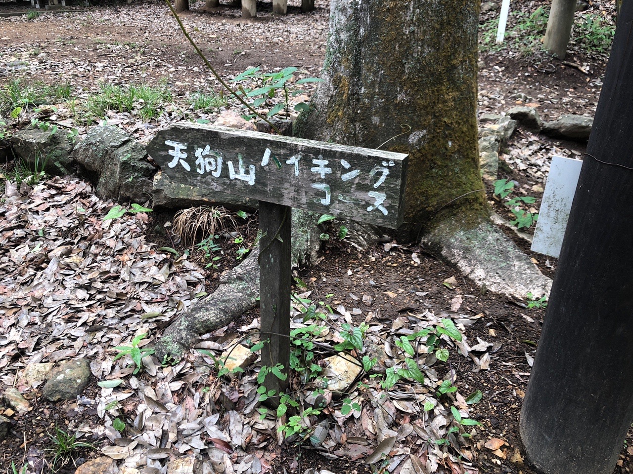 両崖山・仙人ヶ岳・石尊山 天狗山に向かいます