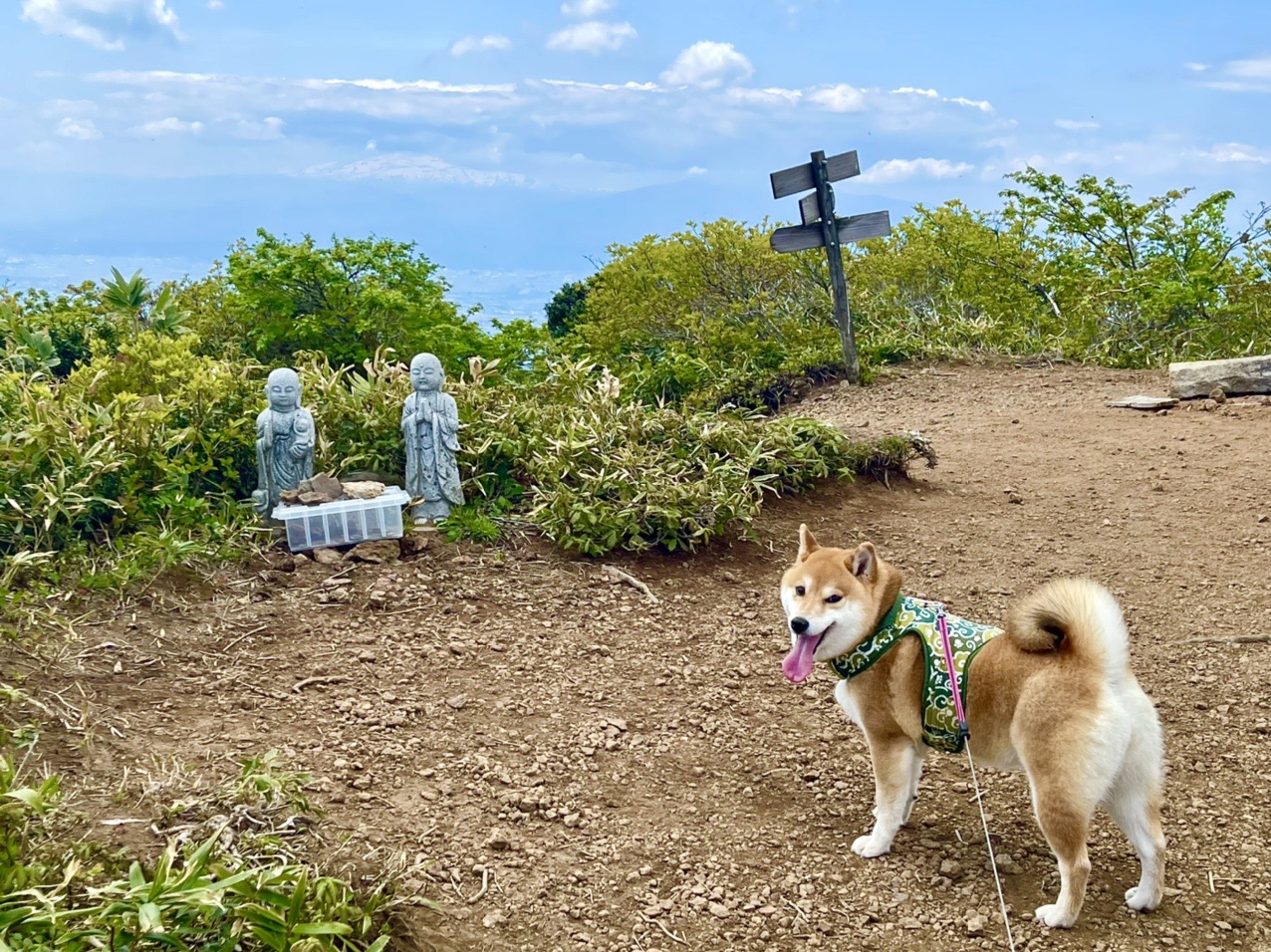 面白山 犬ップ編 ないんちょさんの面白山 神室岳 雨呼山の活動データ Yamap ヤマップ