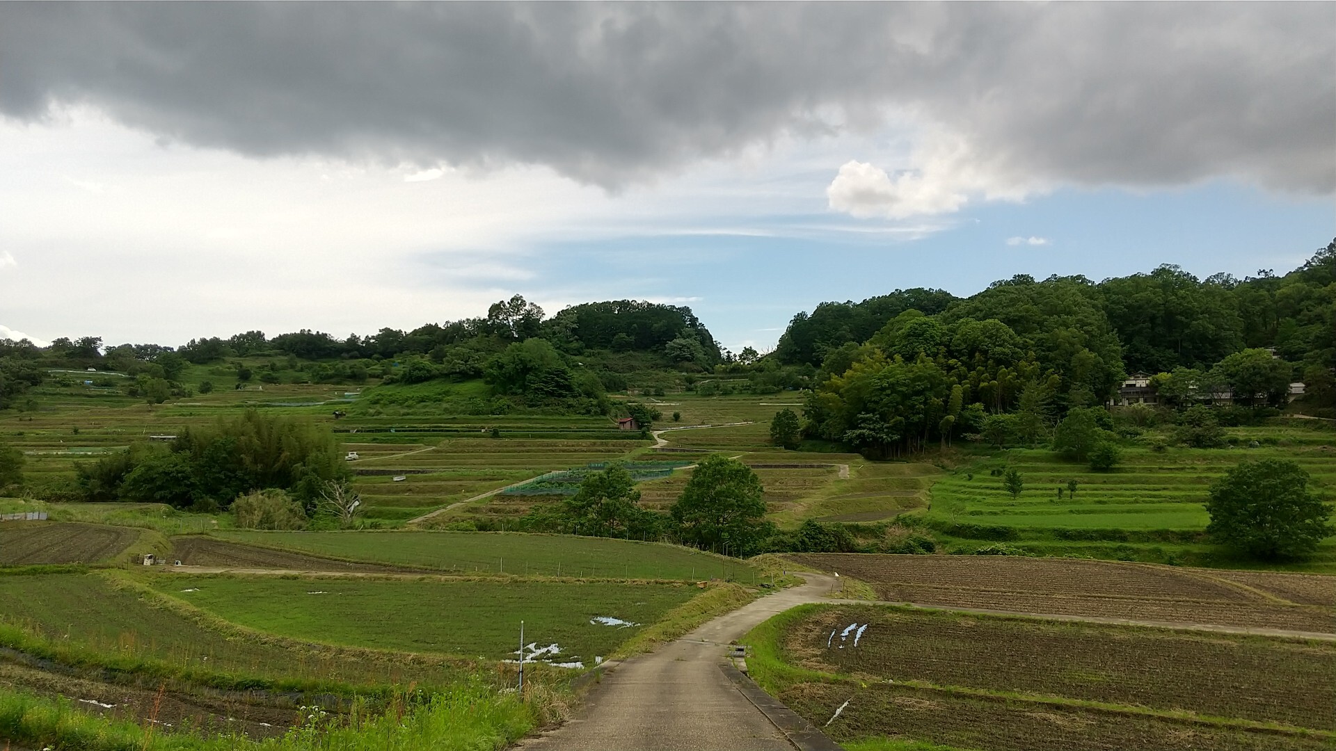 芋峠越吉野街道 八木札の辻から明日香村まで 21 05 22 ミッチンさんの大和三山 天香久山 畝傍山 耳成山 の活動データ Yamap ヤマップ