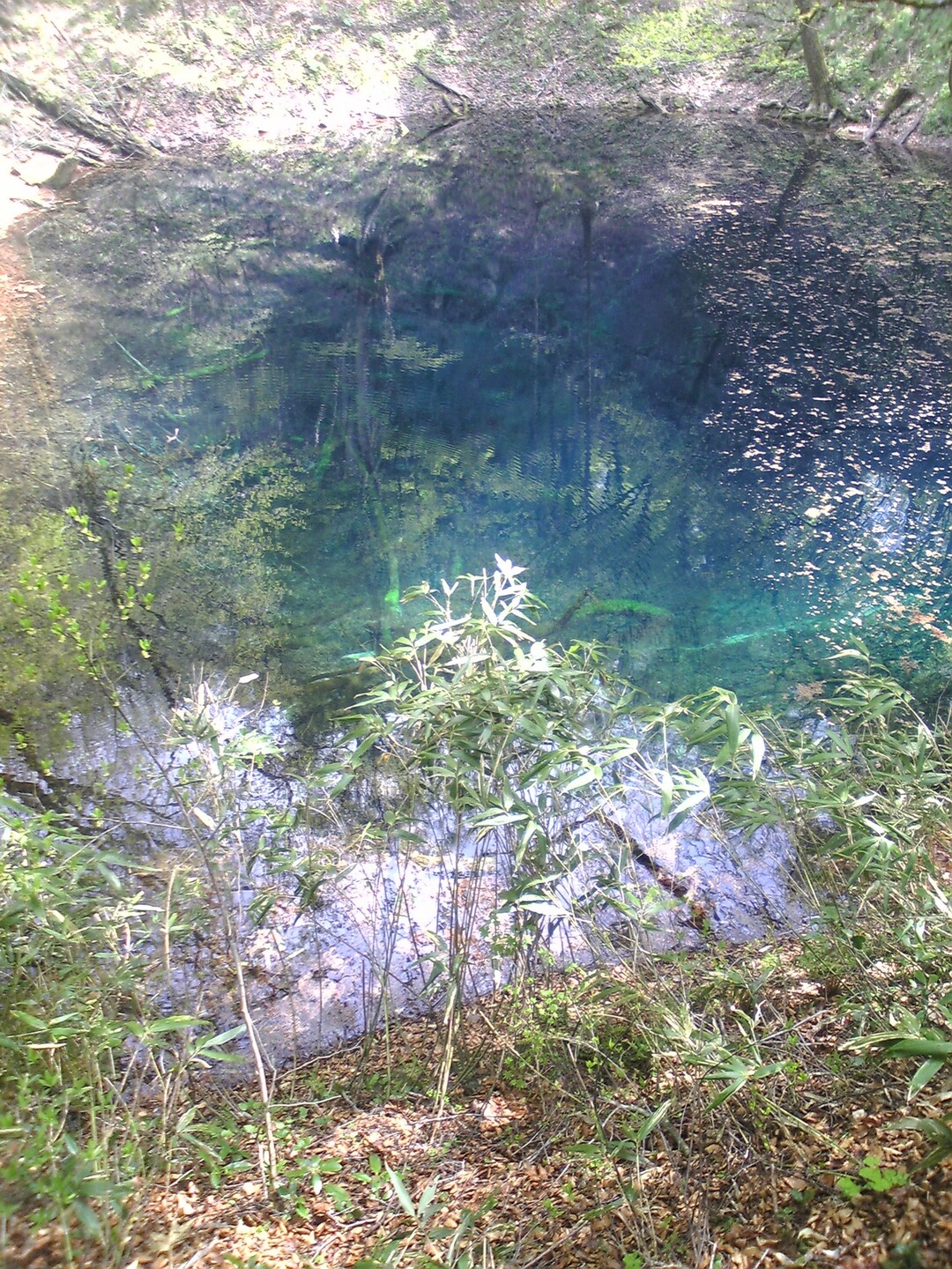 2008年9月 青森県と秋田県にまたがる... / YOTAさんのモーメント YAMAP / ヤマップ