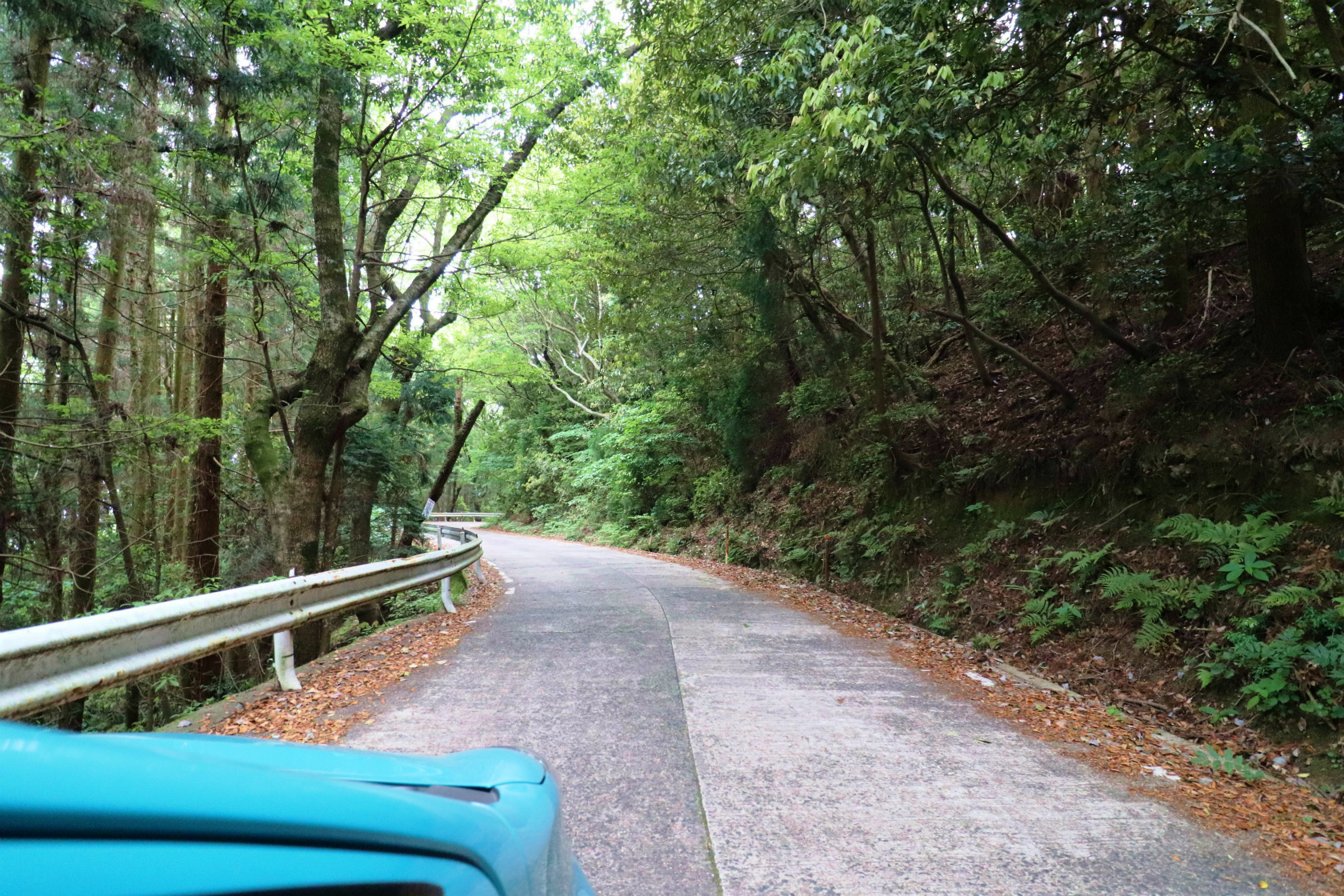 山頂広場に沢山🚗や人が集まってきたので、すぐ下山🚙。2013年年末に見かけた白骨遺体のお知らせ案内板や不気味なバス停🚏がなくなってた。撤去されたかな？🤔　呉市内まで🚙下りるにはかなり時間かかるねぇ😓