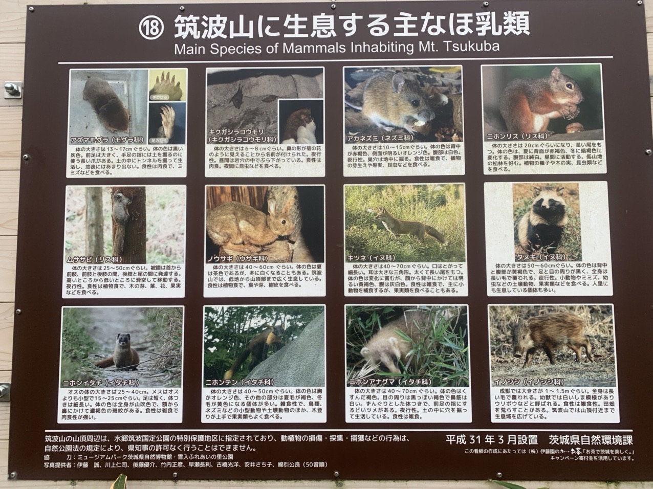 椎尾山 坊主山 筑波山 男体山 筑波山 女体山 としおさんの筑波山の活動データ Yamap ヤマップ