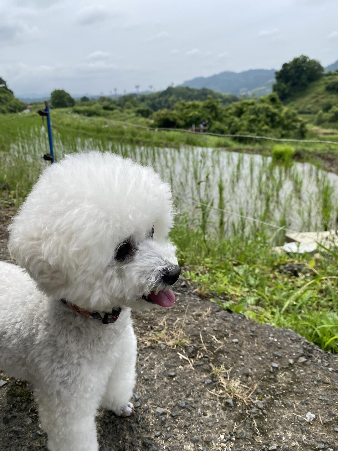 なんか気分がスッキリしない…。 なので、... / とももさんのモーメント YAMAP / ヤマップ