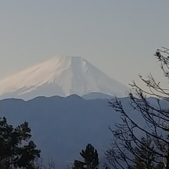 陣馬山 新ﾊｲｷﾝｸﾞｺｰｽ 生藤山 上川乗 02 02 Momomoさんの生藤山の活動データ Yamap ヤマップ