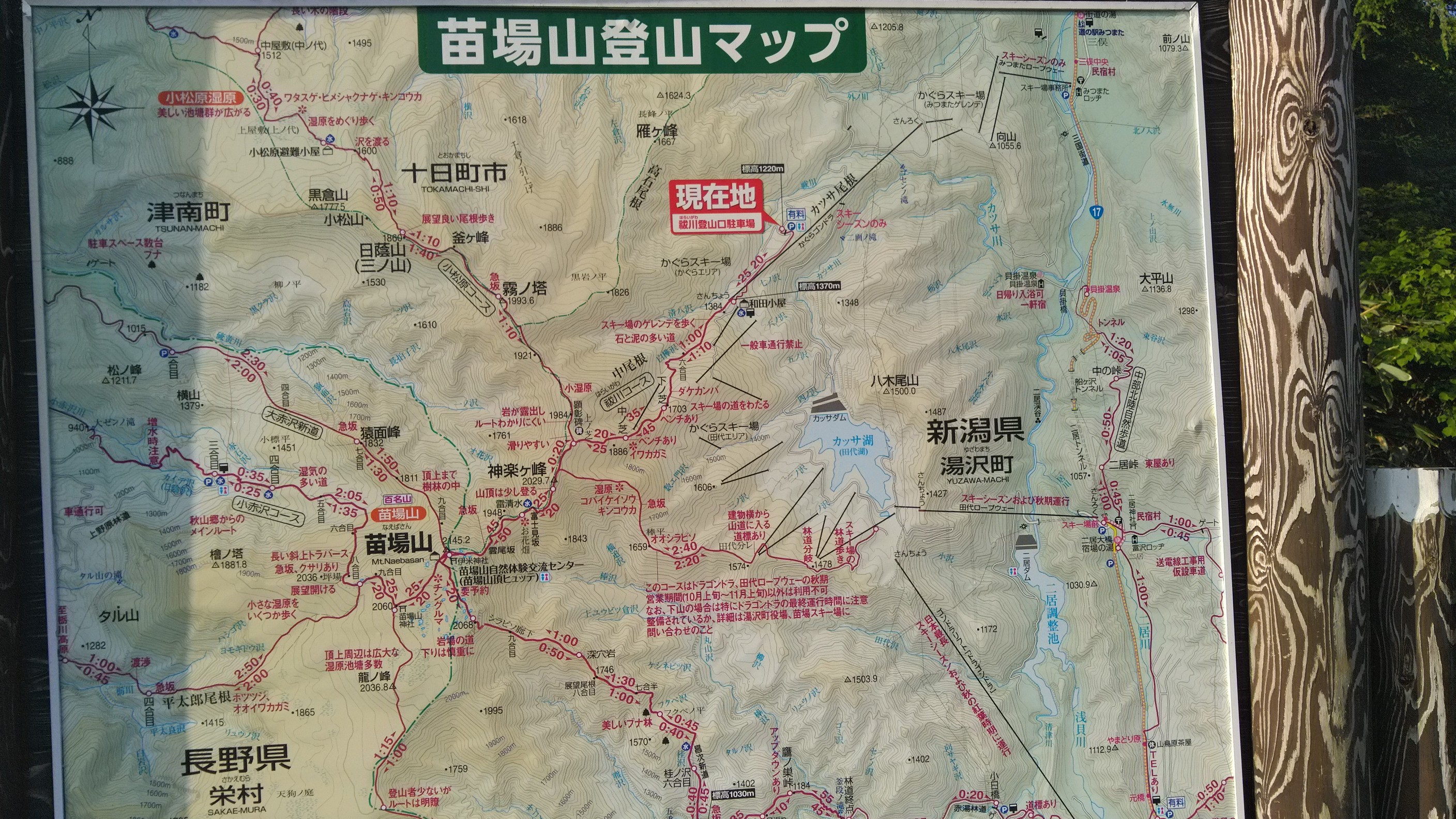 雲上の楽園 苗場山 禊川コース スナフキンさんの苗場山 赤倉山 佐武流山の活動データ Yamap ヤマップ