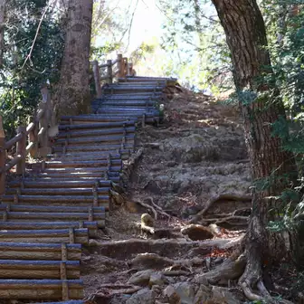 榎窪山へはこんな階段を何度かアップダウン。