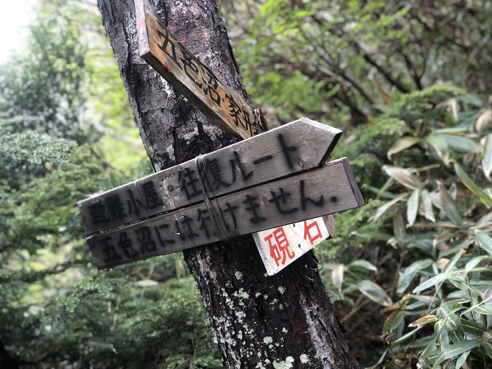 魔女狩り 五色沼 通称 魔女の瞳 を封鎖されていないコースで見に行こう 家形山 2019 06 09 漢松さんの吾妻山 一切経山の活動日記 Yamap ヤマップ