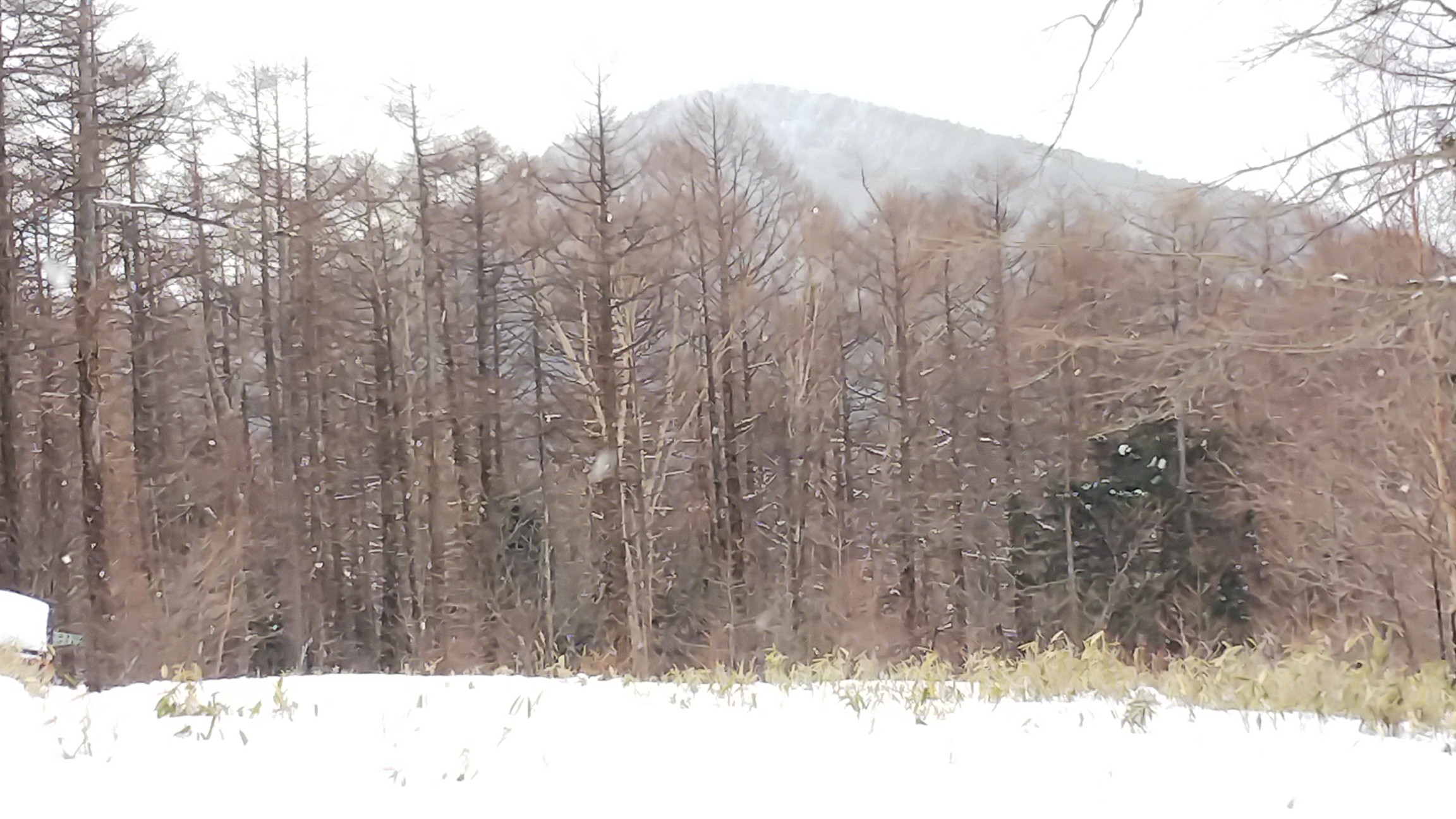 旧スキー場トップから眺める鶏頂山です😆🎵🎵