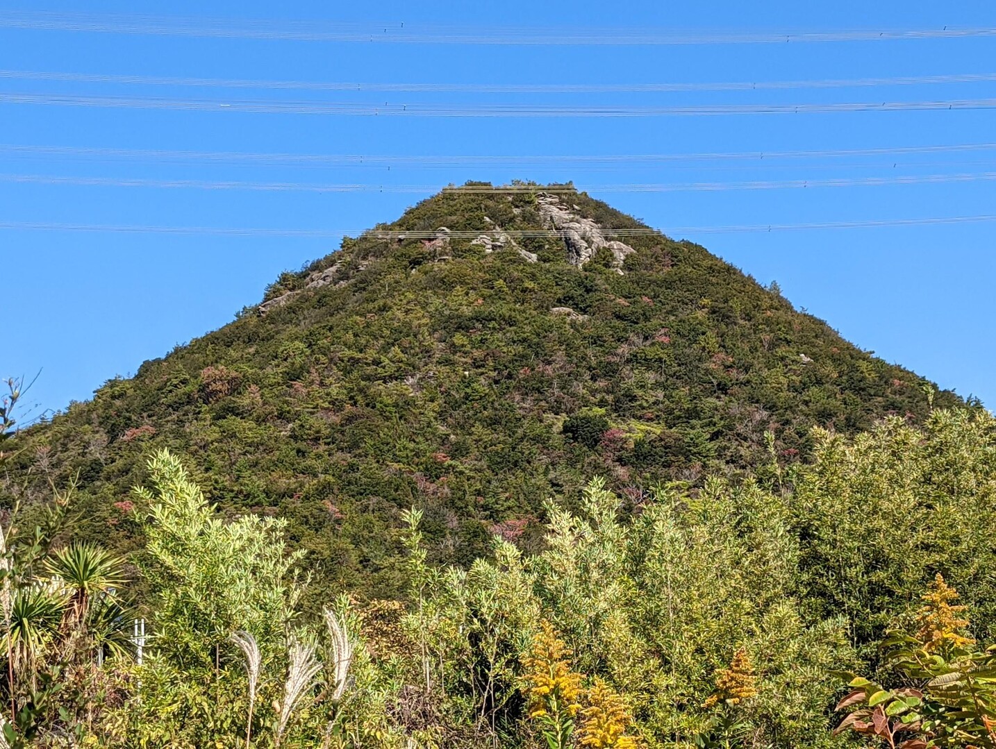 小富士山 / 房🌺さんの小富士山・御旅山・高坪山の活動データ YAMAP / ヤマップ
