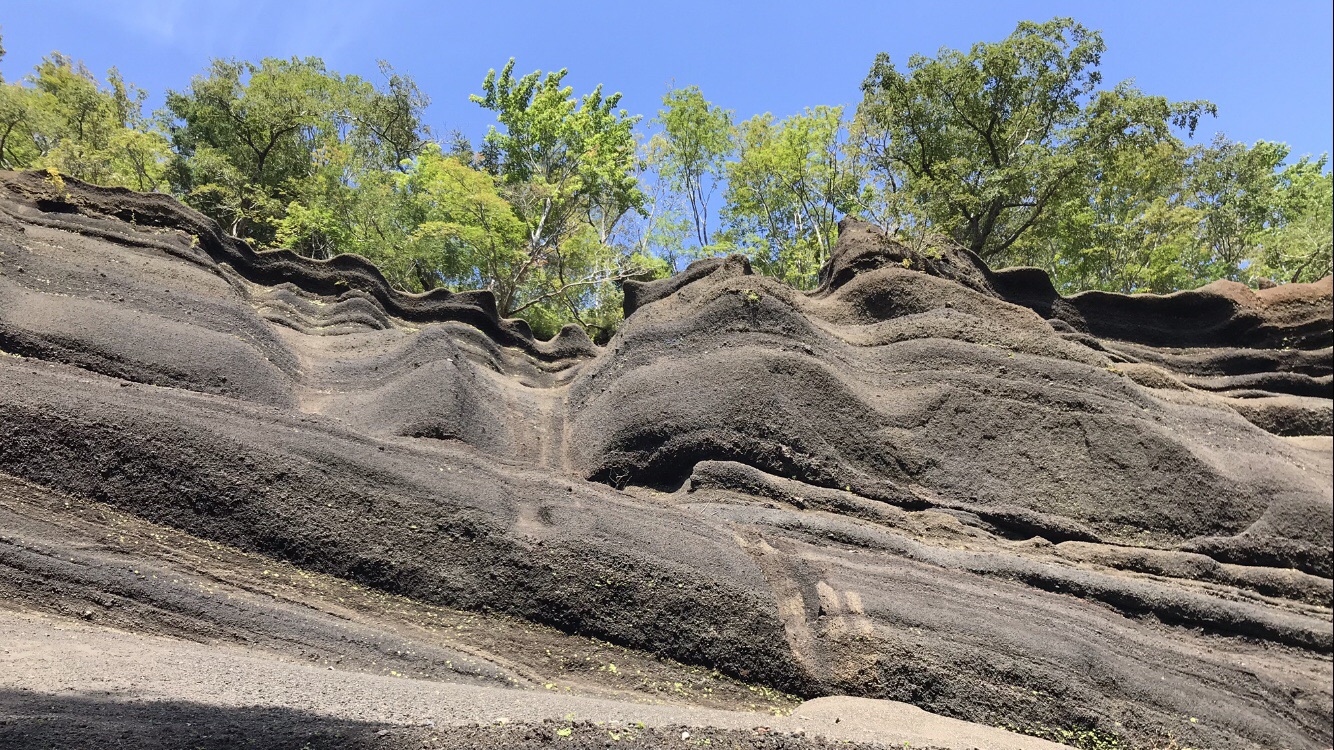富士グランドキャニオンとキノコの旅 19 10 02 Sabo10さんの富士山の活動データ Yamap ヤマップ