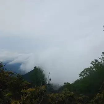 霧藻ヶ峰からの眺望
今日は両神山の山容は見れません。残念