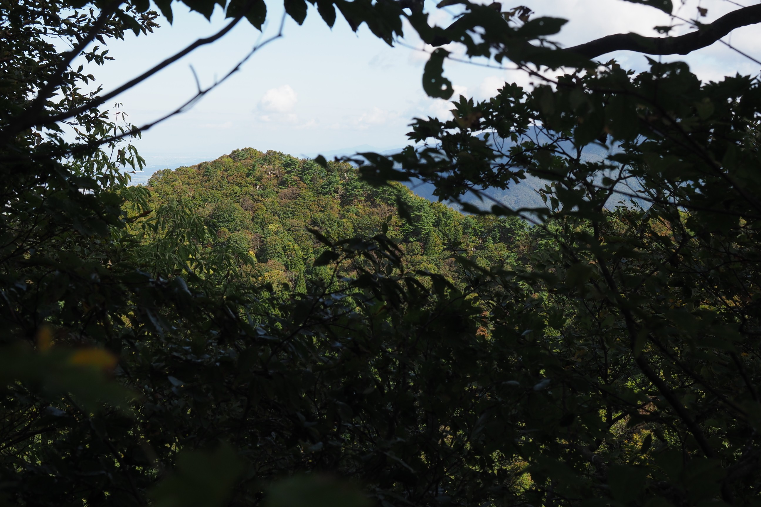 h660m地点から神戸山