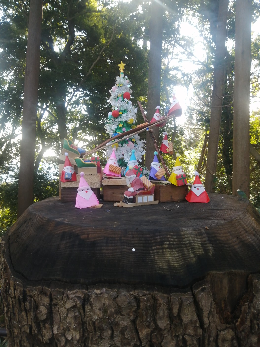 クリスマス登山in 高尾山 おみなさんの高尾山 陣馬山 景信山の活動データ Yamap ヤマップ