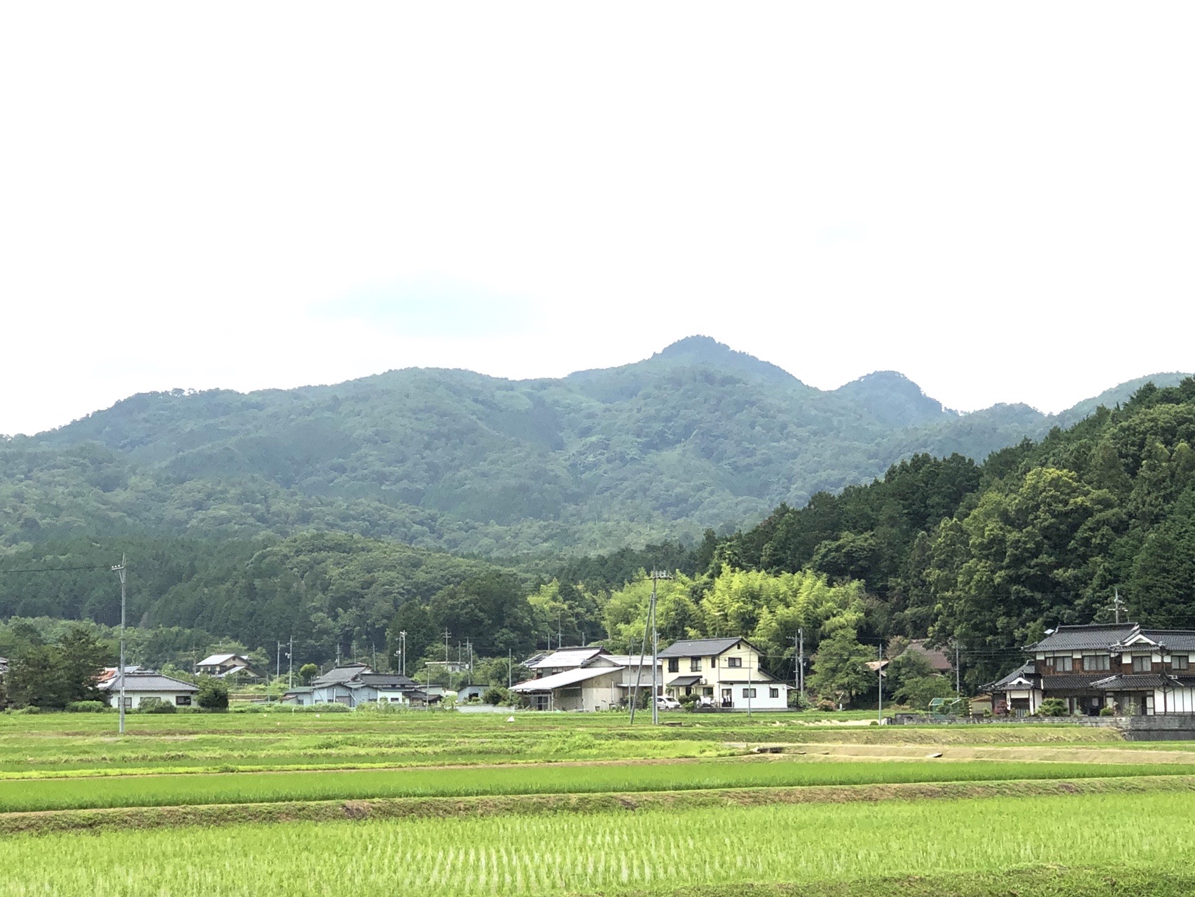 妙見山 岡山県苫田郡鏡野町 やまおくさんの天ヶ山の活動データ Yamap ヤマップ
