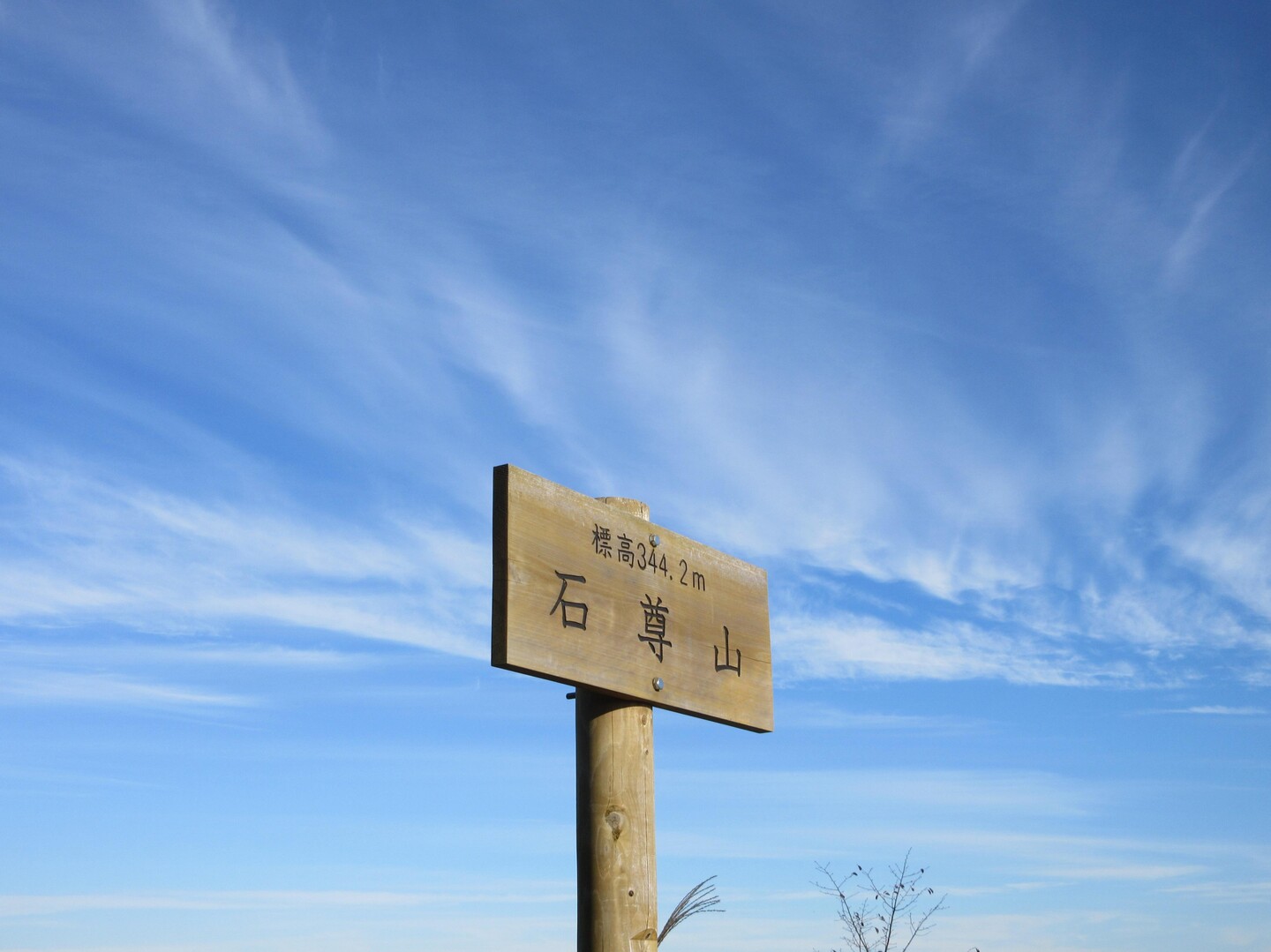 石尊山・官ノ倉山 / ねこ実さんの官ノ倉山の活動日記 | YAMAP / ヤマップ