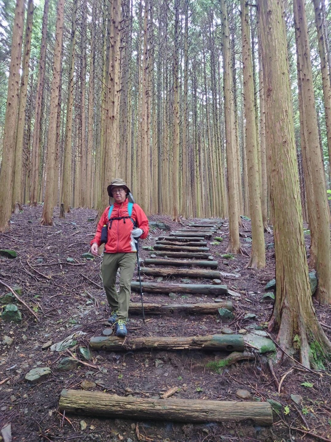 羅漢山・小羅漢山 / ふじなかさんの羅漢山の活動データ YAMAP / ヤマップ