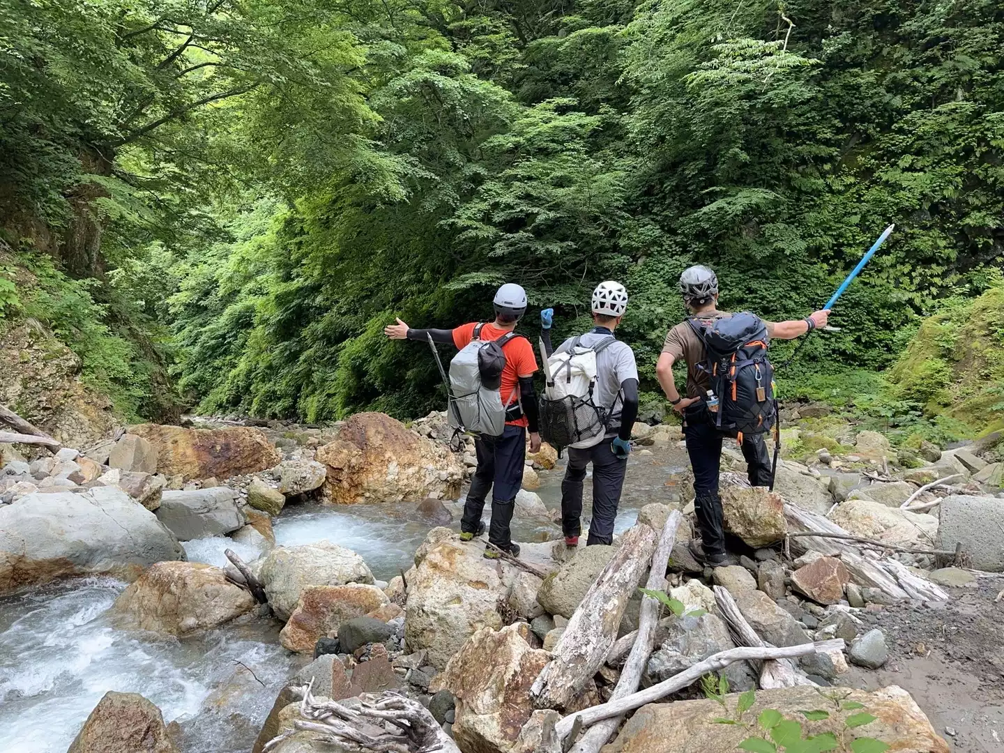 大山 地獄谷へ☁️一向平〜大山滝〜野田滝〜駒鳥小屋〜木谷入口 大山 地獄谷へ☁️一向平〜大山滝〜野田滝〜駒鳥小屋〜木谷入口