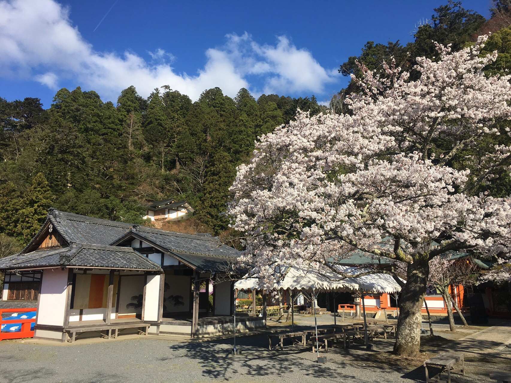関西登山 京都奥山ロングトレイル 旧花脊峠 天ヶ森 花折峠 はじめさんの天ヶ森 ナッチョ の活動日記 Yamap ヤマップ