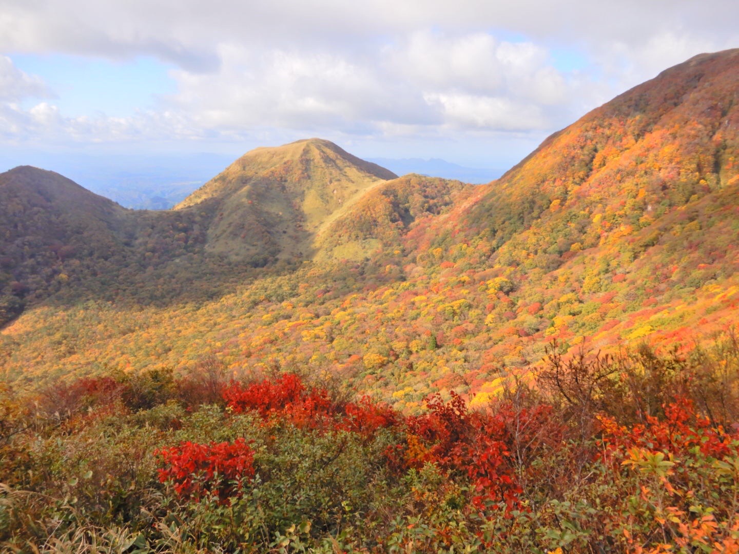 紅葉の三瓶山周回コースへ19 11 04 染ちゃんさんの三瓶山 大平山の活動データ Yamap ヤマップ