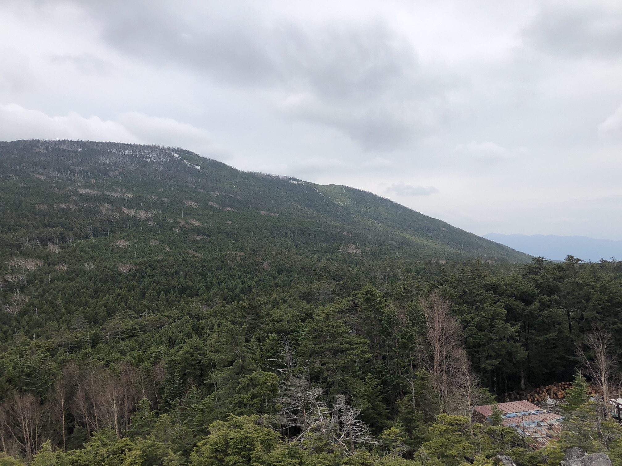 高見石上から、オー、中山方面