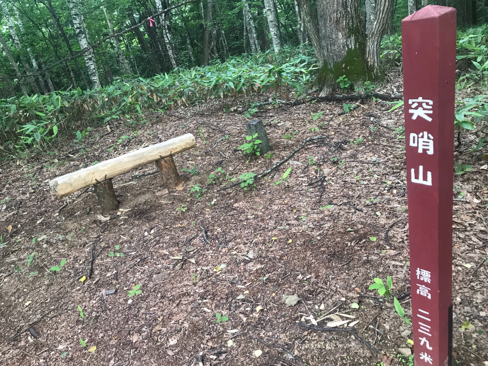 突哨山 トレイルラン うにまる さんの旭川市の活動データ Yamap ヤマップ