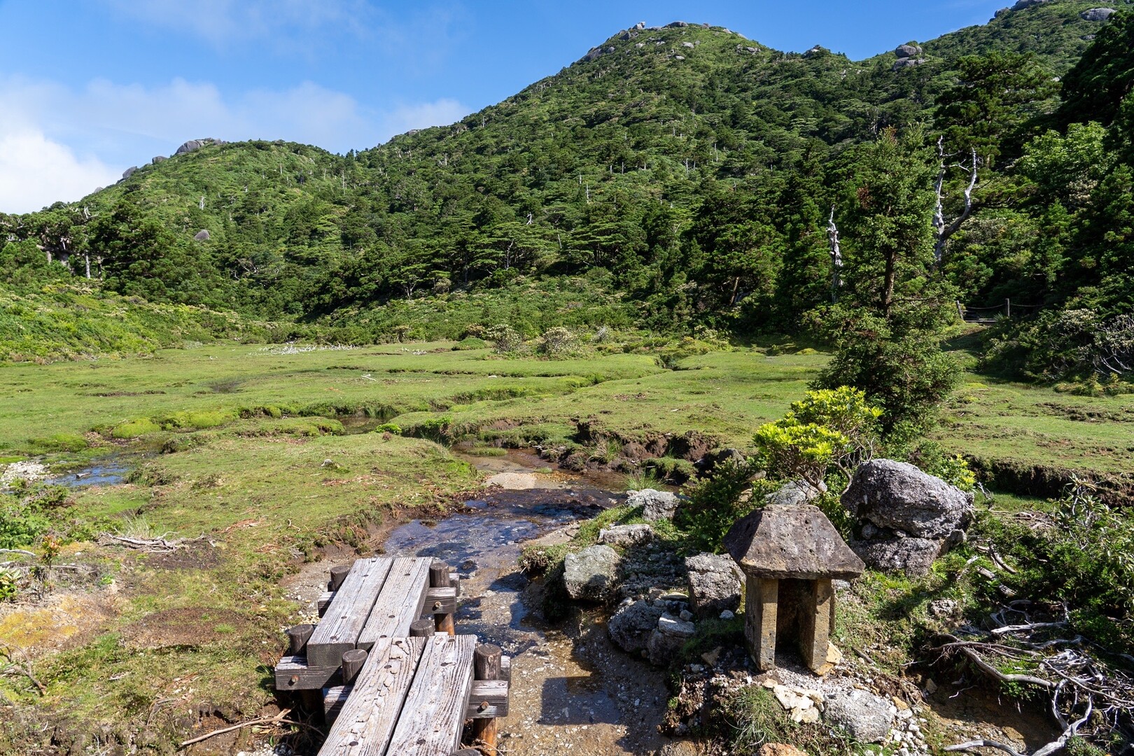 屋久島 黒見岳 07 21 Aki168さんの屋久島 宮之浦岳の活動日記 Yamap ヤマップ