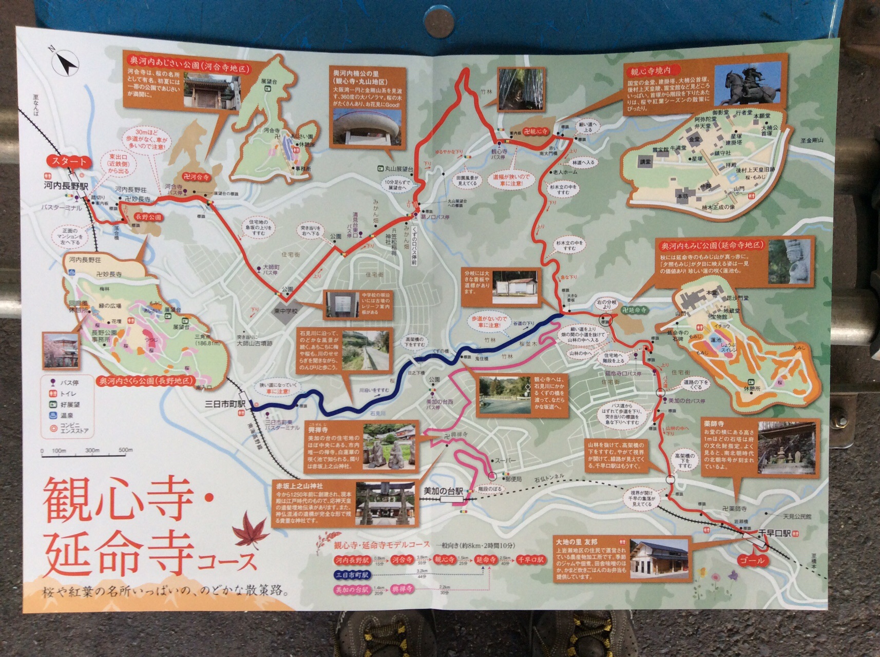 河内長野市 延命寺 観心寺 長野神社 19 11 24 Kazz309さんの岩湧山 一徳防山 三石山の活動日記 Yamap ヤマップ