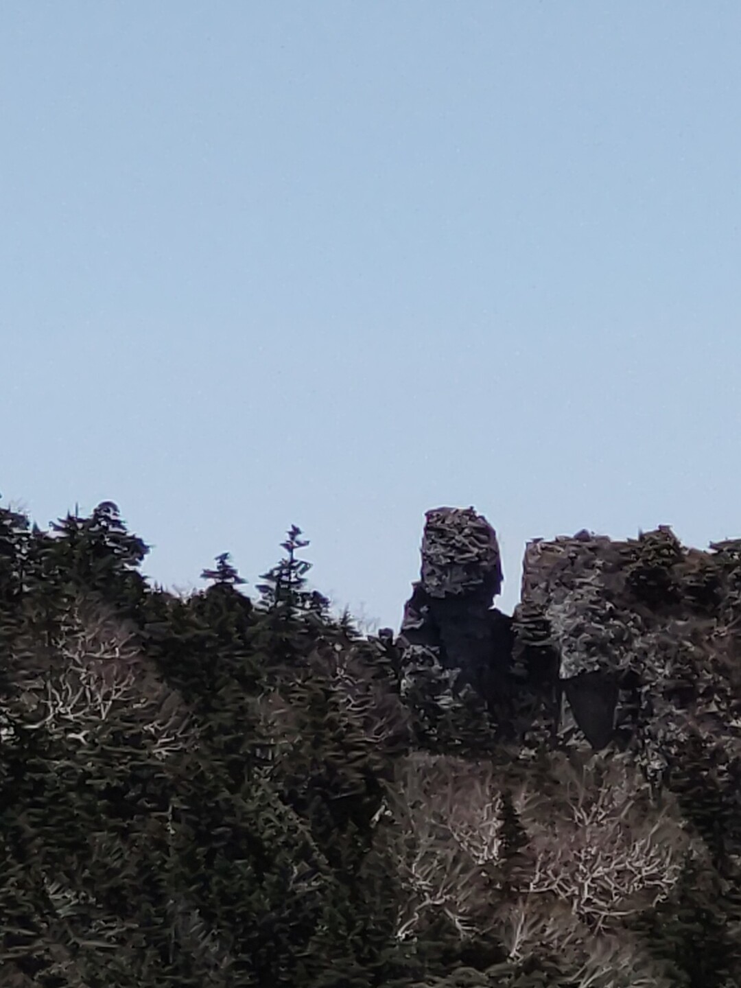 バテバテ女峰山 女峰山 赤薙山 大真名子山の写真8枚目 モアイ像 Yamap ヤマップ
