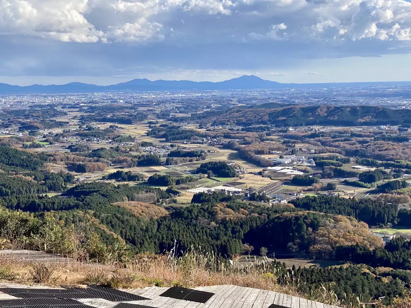 🌞🚗岩場が面白い△古賀志山(森林公園~中尾根~赤岩)/栃木 🌞🚗岩場が面白い△古賀志山(森林公園~中尾根~赤岩)/栃木