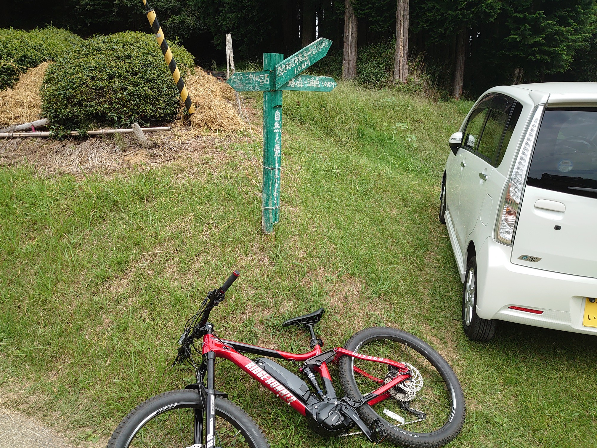 MTB若草山(三笠山)・国見山 / 奈良市の写真13枚目 / 一箇所、倒木が 