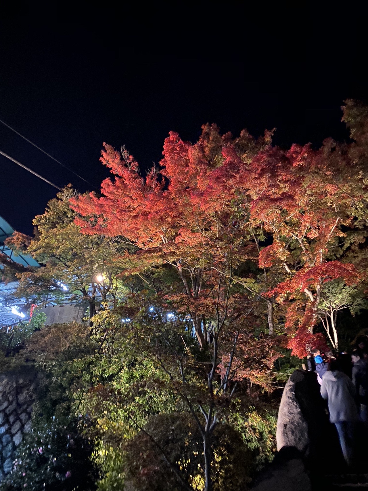 筑波山寄り道 Hiraさんの筑波山の活動データ Yamap ヤマップ