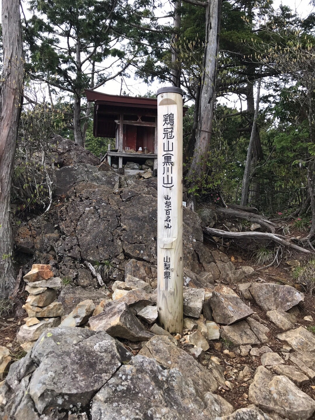 鶏冠山 黒川山 黒川鶏冠山 山梨百名山77座目 Hanayoshiさんの大菩薩嶺 鶏冠山 大マテイ山の活動データ Yamap ヤマップ