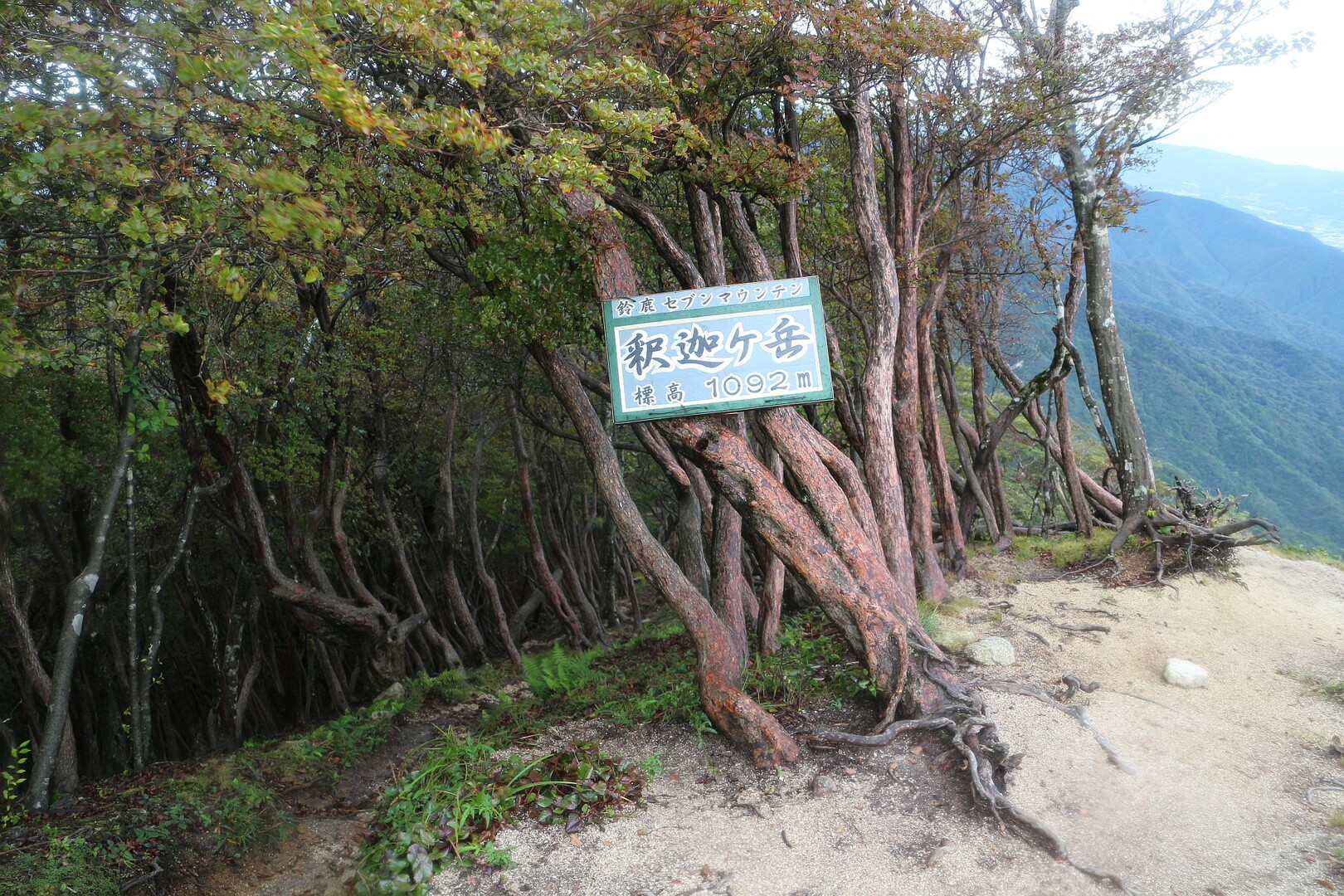 羽鳥峰・猫岳・釈迦ヶ岳周回　恐怖の庵座谷ルートの降り。 / おじさんさんの釈迦ヶ岳の活動データ | YAMAP / ヤマップ