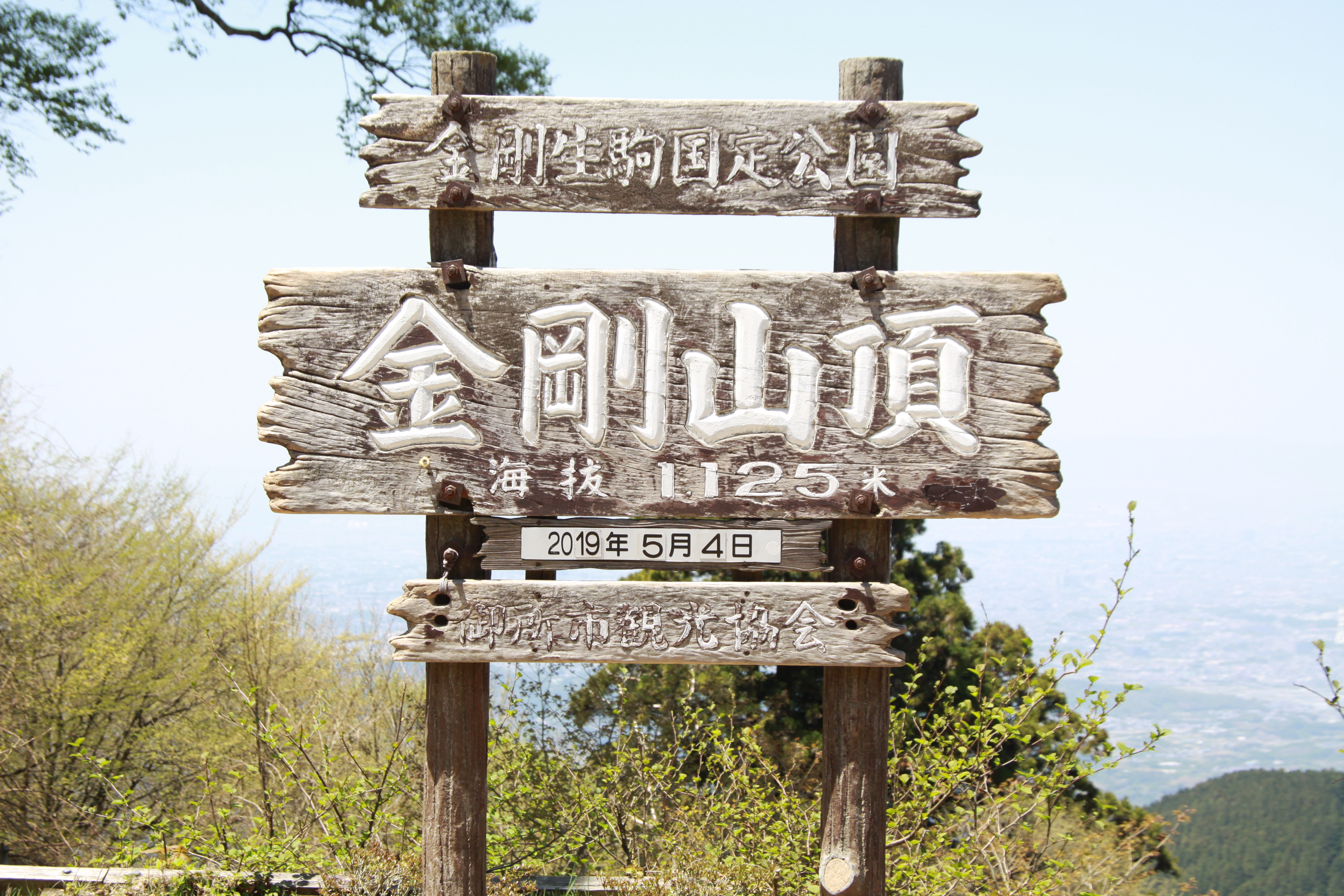 花の金剛山 せかんはらさんの金剛山 二上山 大和葛城山の活動データ Yamap ヤマップ