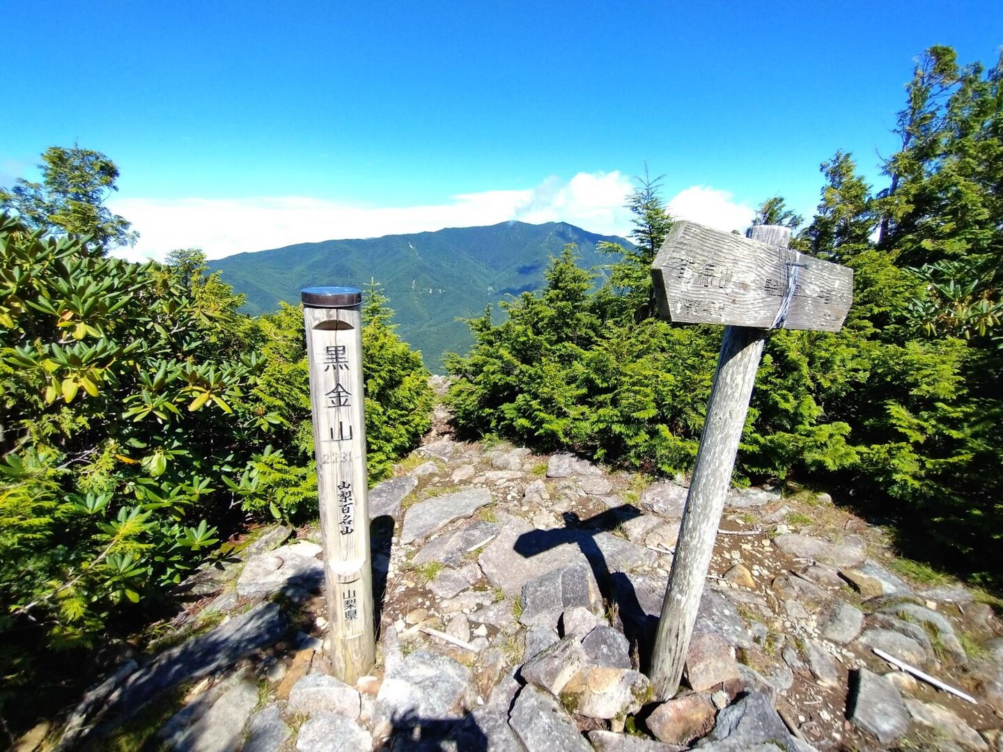 黒金山・牛首 / かわなりさんの乾徳山・黒金山の活動データ YAMAP / ヤマップ