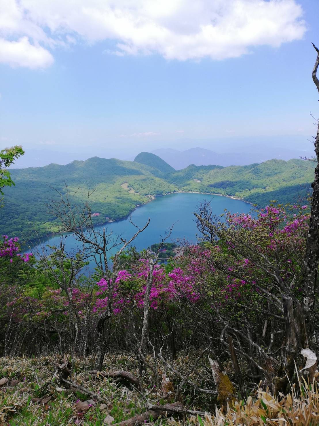 ツツジの赤城山 黒檜山 駒ヶ岳 21 06 09 スプリングサンダース さんの赤城山 黒檜山 荒山の活動データ Yamap ヤマップ