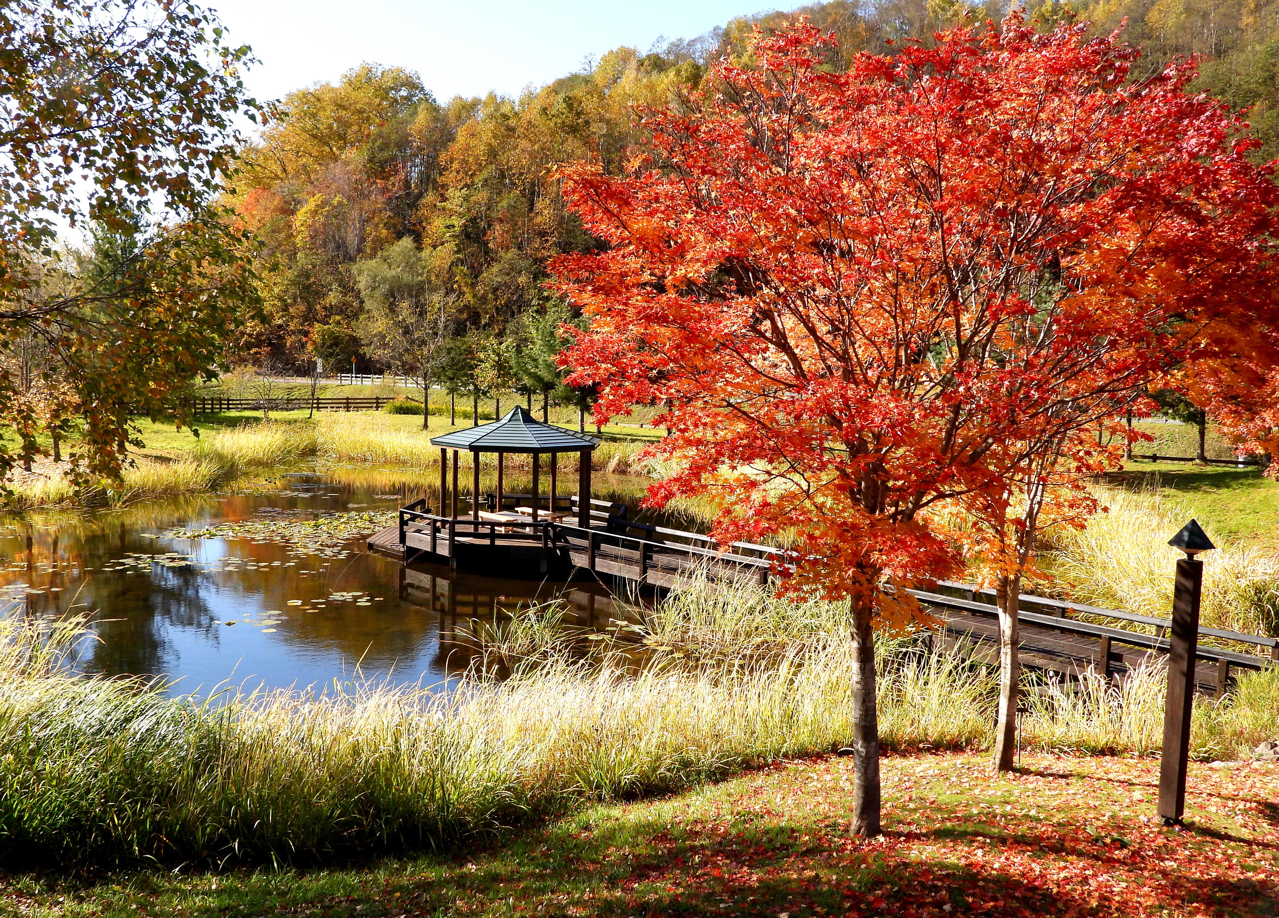ピウケナイ山 紅葉 Pon単独 Pon 夫 連れ 妻 さんの旭川市の活動データ Yamap ヤマップ