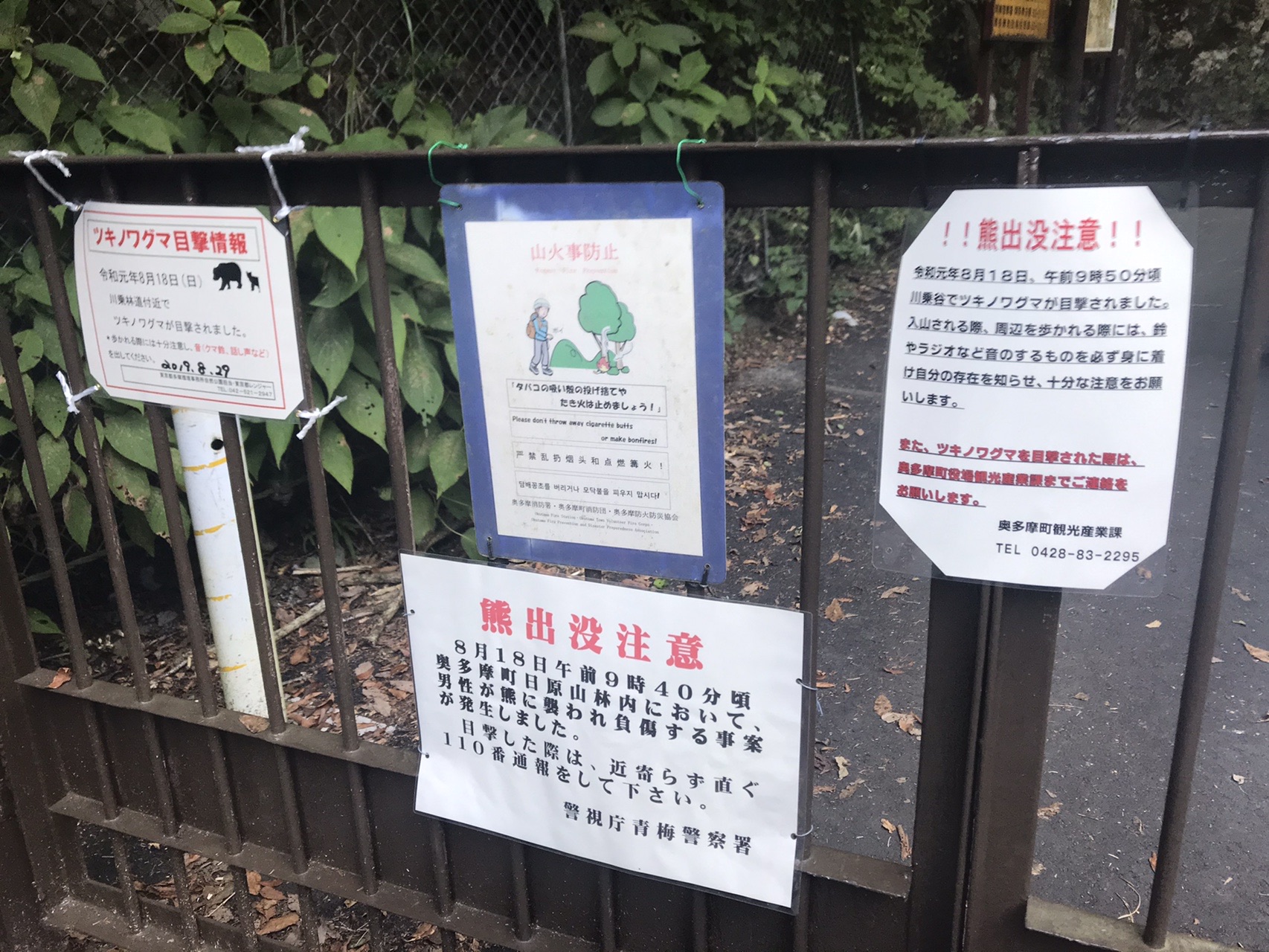 週2回クマに遭遇 川苔山19 10 02 Takkyさんの川苔山 川乗山 の活動日記 Yamap ヤマップ